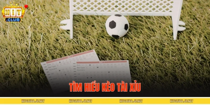 Tìm hiểu kèo tài xỉu