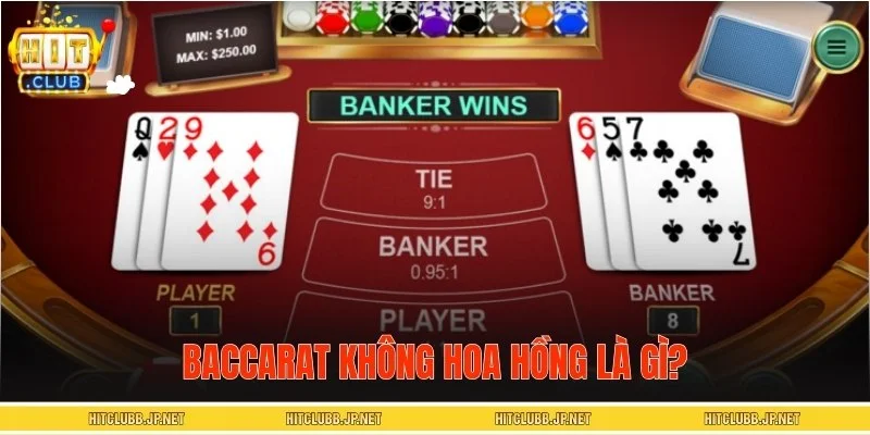 Baccarat không hoa hồng là phiên bản được nhiều người chọn